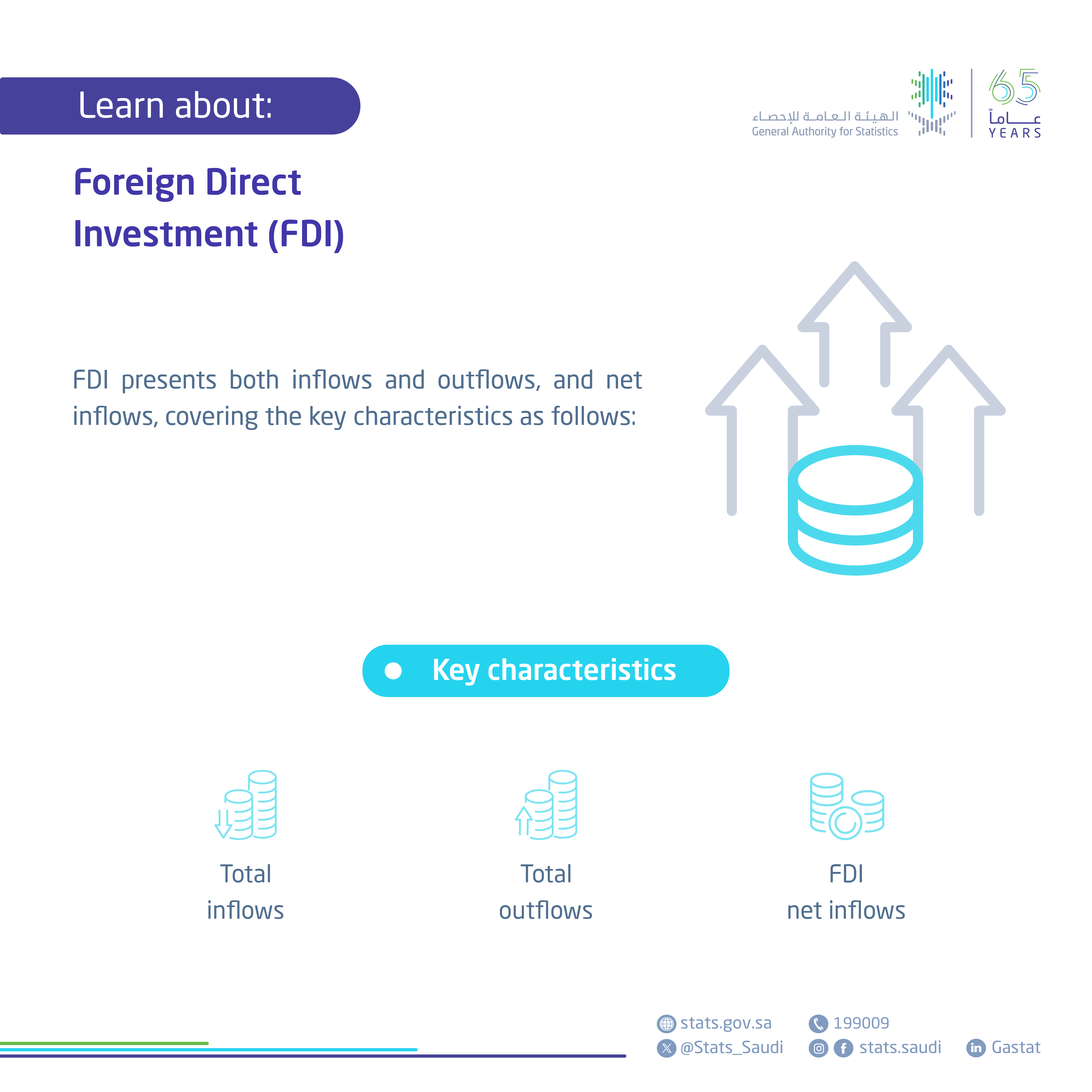 Foreign Direct Investment Statistics
