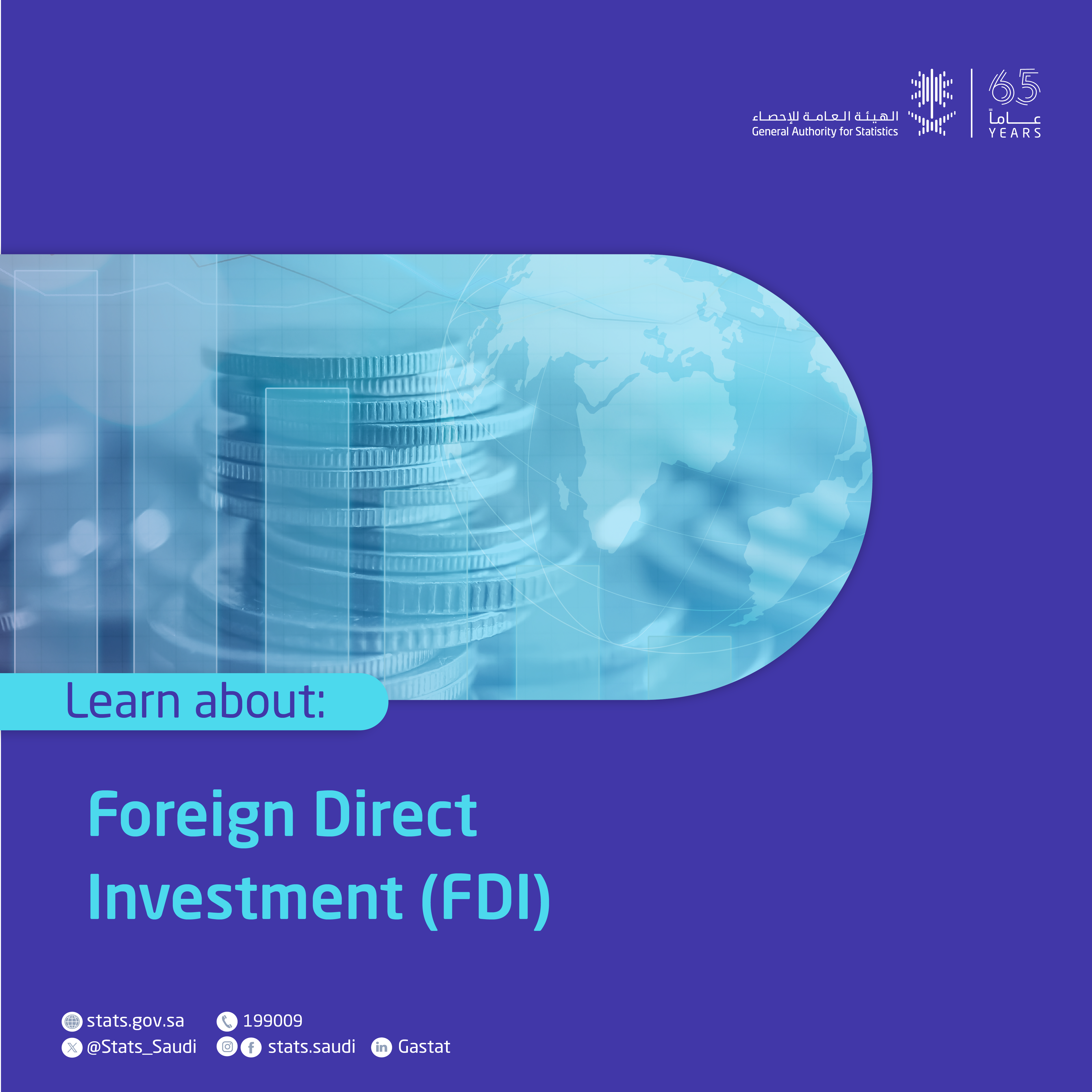 Foreign Direct Investment Statistics